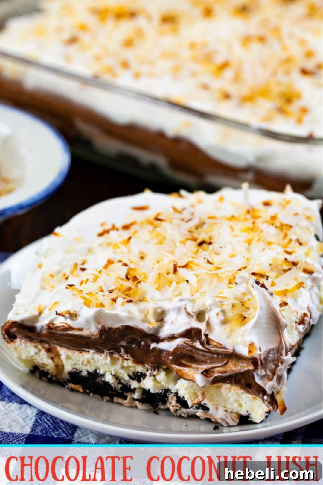 Velvet Chocolate Coconut Heaven 6 Close-up of Chocolate Coconut Lush layers.