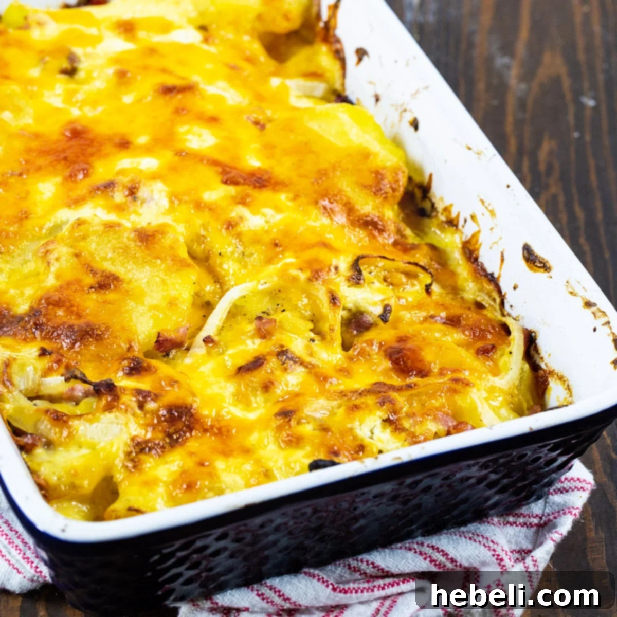 Creamy Ham and Potato Bake 2 A vibrant blue casserole dish filled with golden-brown Scalloped Potatoes with Ham, freshly baked and ready to serve.