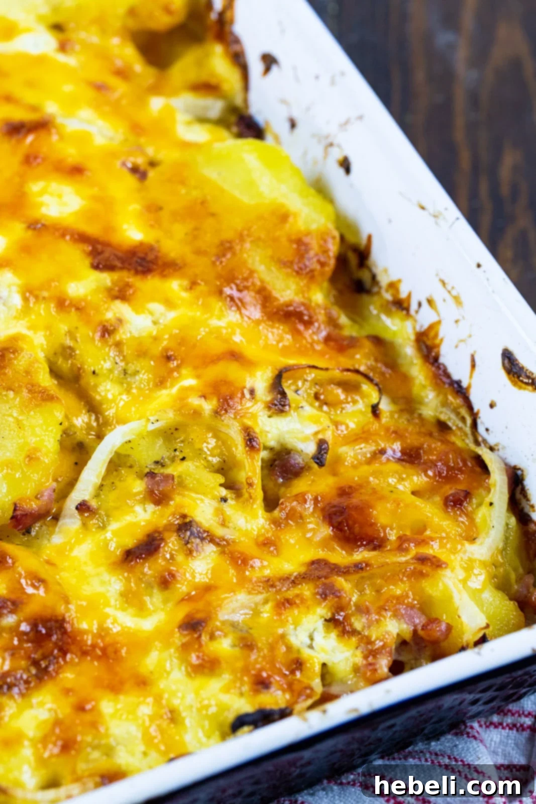 Creamy Ham and Potato Bake 5 A close-up of a large casserole dish filled with golden, bubbly Scalloped Potatoes with Ham, fresh from the oven.