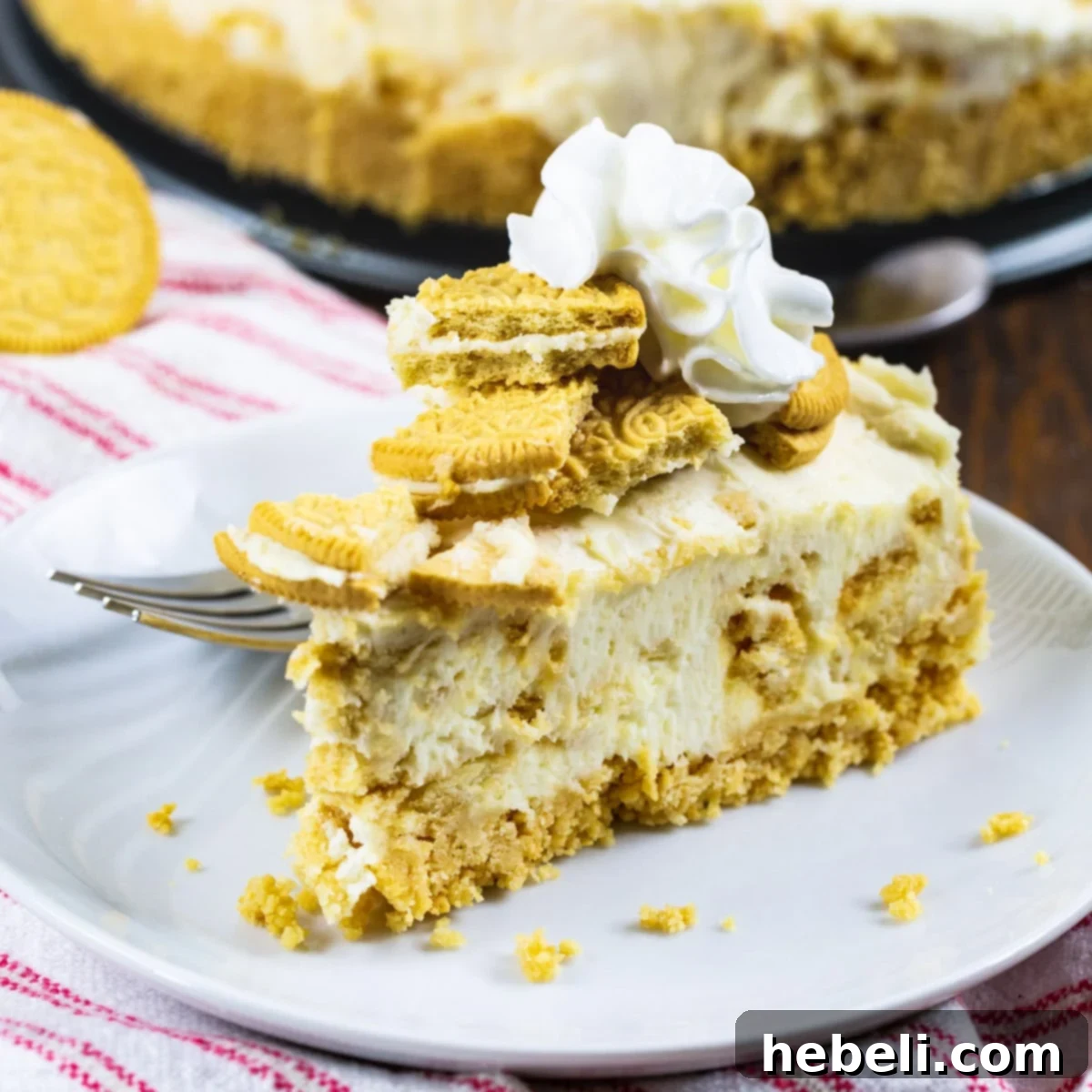 A perfectly sliced piece of No-Bake Golden Oreo Cheesecake on a small white plate, showcasing its golden crust and creamy, cookie-speckled filling.