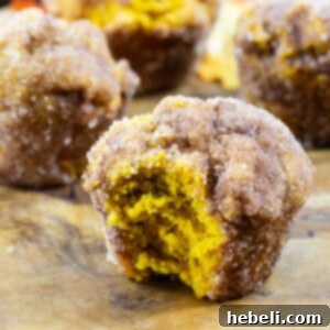 Pumpkin Doughnut Muffins with a bite taken out, perfect for a fall treat.