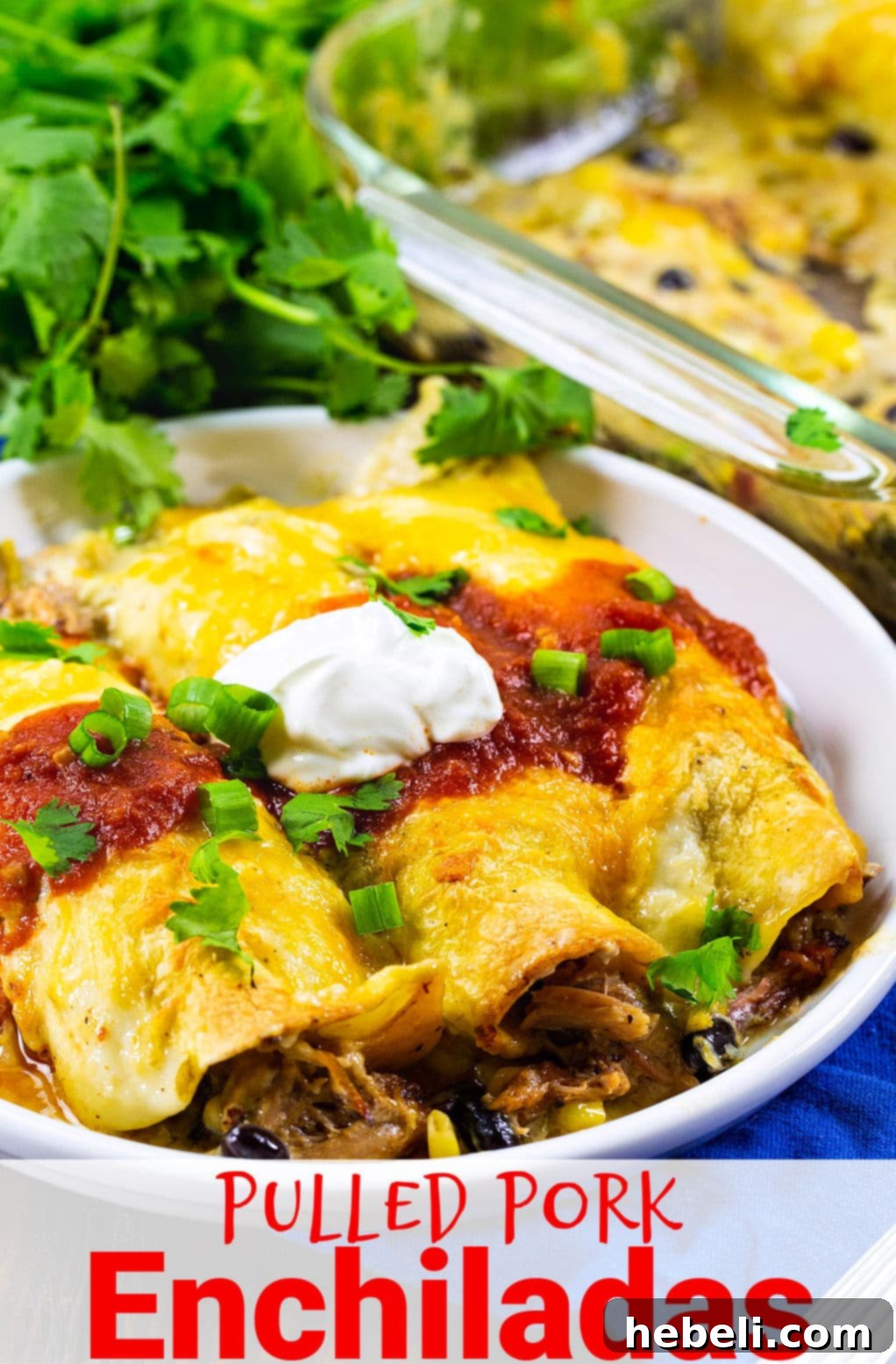 A top-down view of Pulled Pork Enchiladas in a baking dish, freshly prepared before baking.