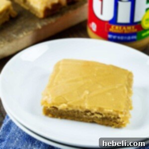 Close-up of freshly baked Peanut Butter Brownies, cut into squares.