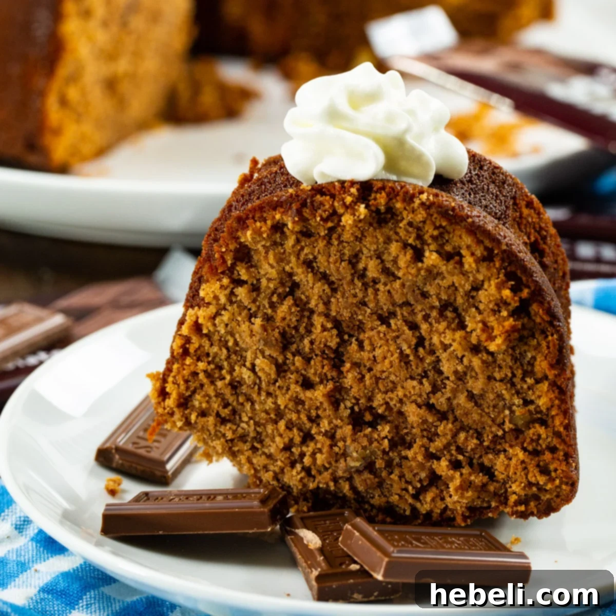 A perfectly sliced Hershey Bar Pound Cake on a white plate, showcasing its rich, dense chocolate crumb and a beautiful golden-brown crust. Small squares of Hershey's milk chocolate bars are scattered around the plate, hinting at the cake's key ingredient.