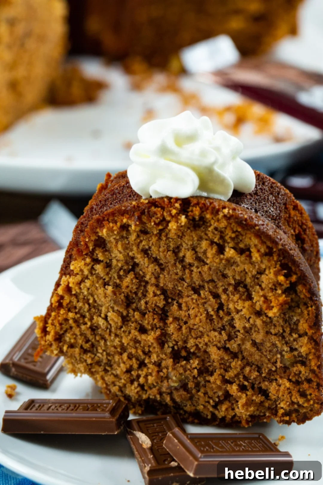 A close-up shot of a single slice of Hershey Bar Pound Cake, generously topped with a swirl of fluffy whipped cream. The dark chocolate crumb contrasts beautifully with the white cream, making it an inviting dessert.
