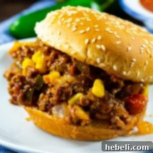 Finished Tex-Mex Sloppy Joes dish.
