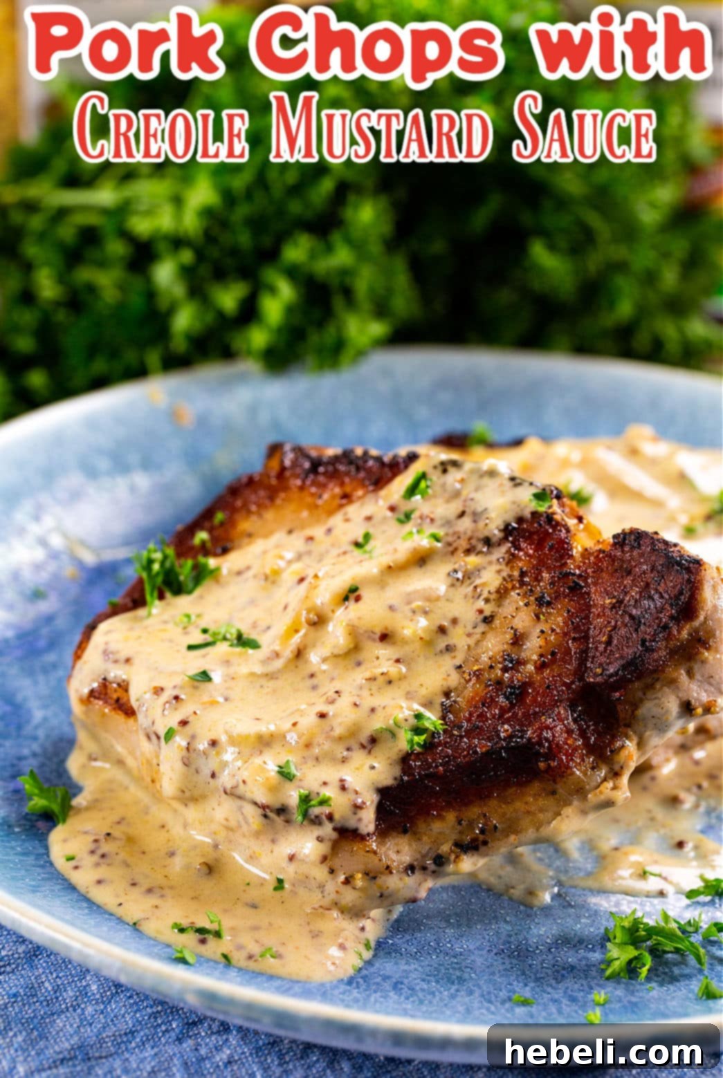 A single portion of Pork Chops with Creole Mustard Sauce, beautifully presented on a plate, highlighting the creamy sauce.