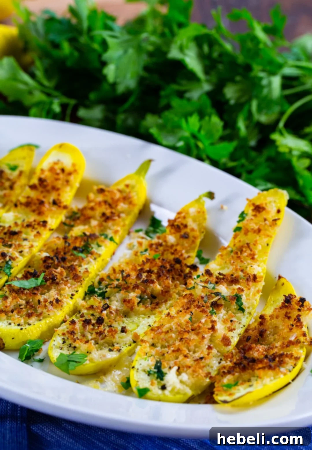 Crispy Panko Parmesan Squash Fries 5 Crispy Panko Parmesan Squash Planks stacked on a serving plate, garnished with fresh parsley.