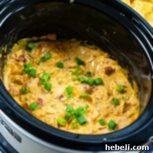 Delicious Slow Cooker Chicken Nacho Dip ready to be scooped.