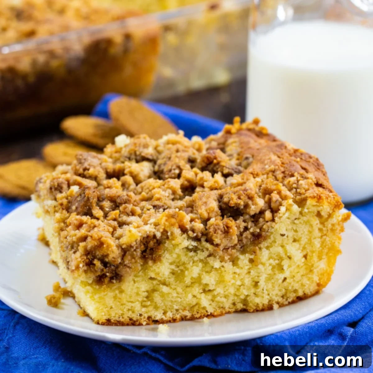 A beautifully presented slice of Gingersnap Toffee Coffee Cake on a plate, showcasing its moist interior and rich, crunchy streusel topping, perfect for holiday indulgence.