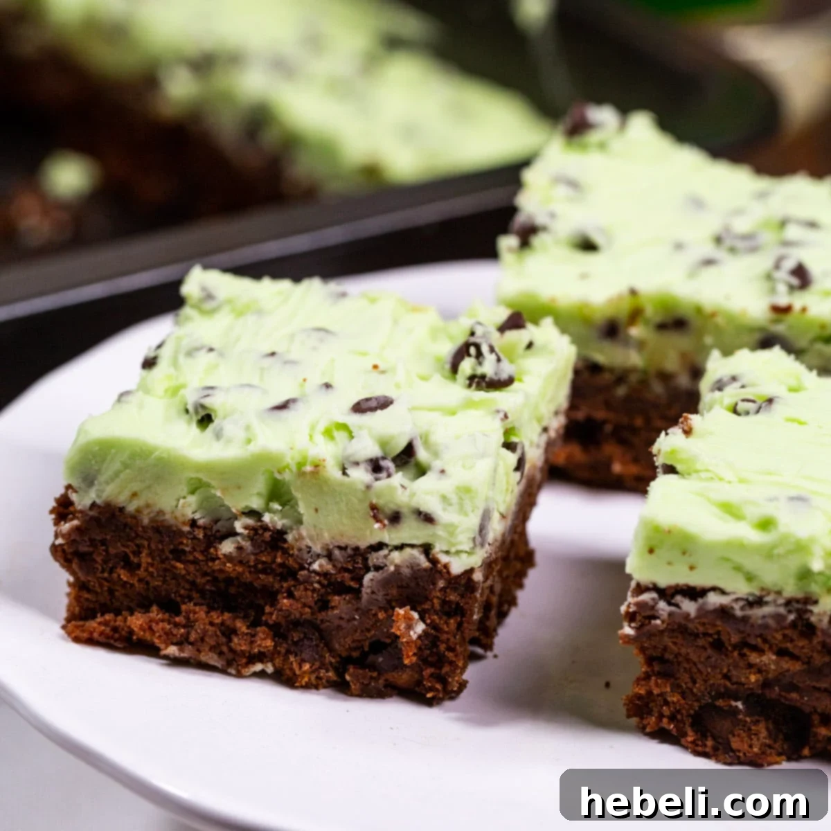 Decadent Creme de Menthe Chocolate Chip Brownies 2 Fudgy Creme de Menthe Brownies adorned with chocolate chip mint frosting, ready for serving on a festive platter.