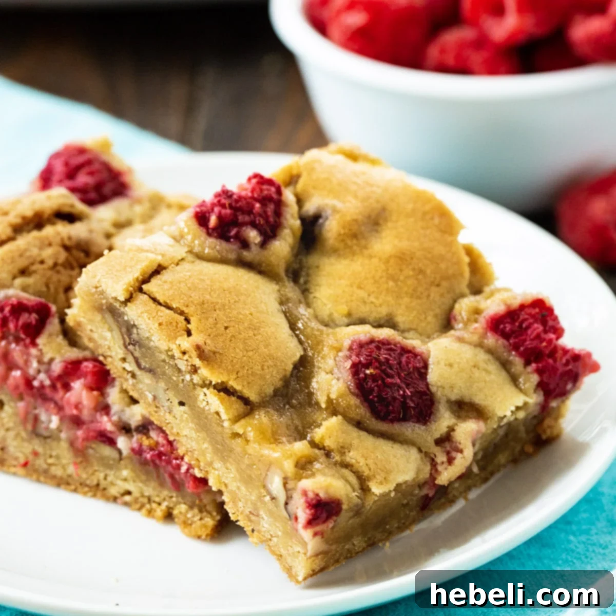 Two golden-brown Raspberry Pecan Blondies on a white plate, showcasing their rich texture and colorful raspberry topping.