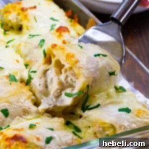 Delicious Chicken Alfredo Lasagna Roll-Ups ready to be served, showing the golden cheese topping.