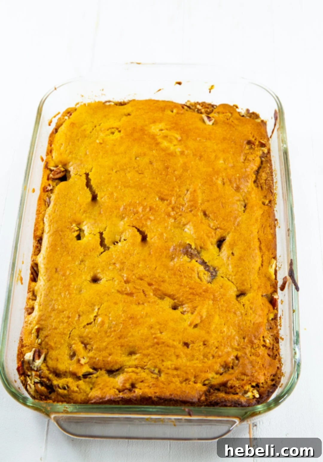 Honey Glazed Pumpkin Swirl Cake 5 A freshly baked Pumpkin Honey Bun Cake in a 9x13-inch pan, just out of the oven.