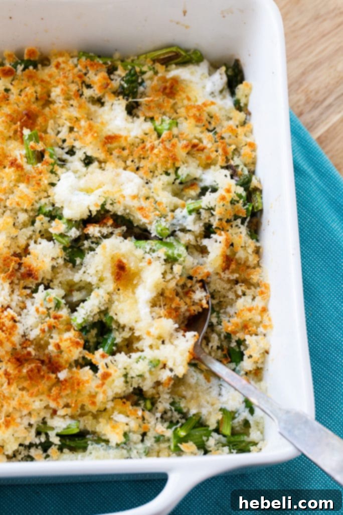 Overhead shot of a golden-brown asparagus and mascarpone gratin with a crisp bread crumb topping, fresh from the oven.