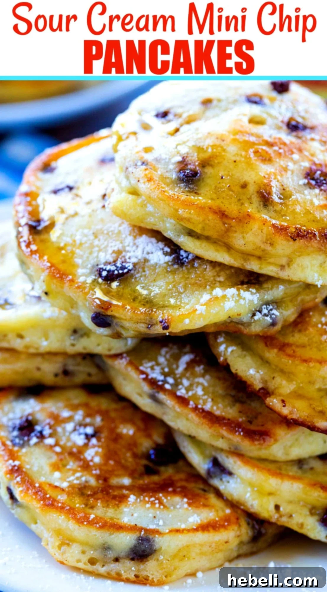 Tangy Mini Chocolate Chip Pancakes 6 An appetizing close-up of a single Sour Cream Mini Chip Pancake, showing its fluffy texture and melted chocolate chips.