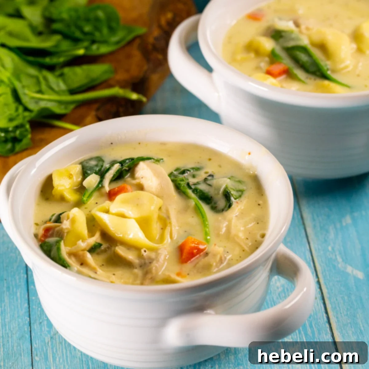 Two bowls of creamy Chicken Alfredo Tortellini Soup, garnished with fresh herbs and a swirl of cream.