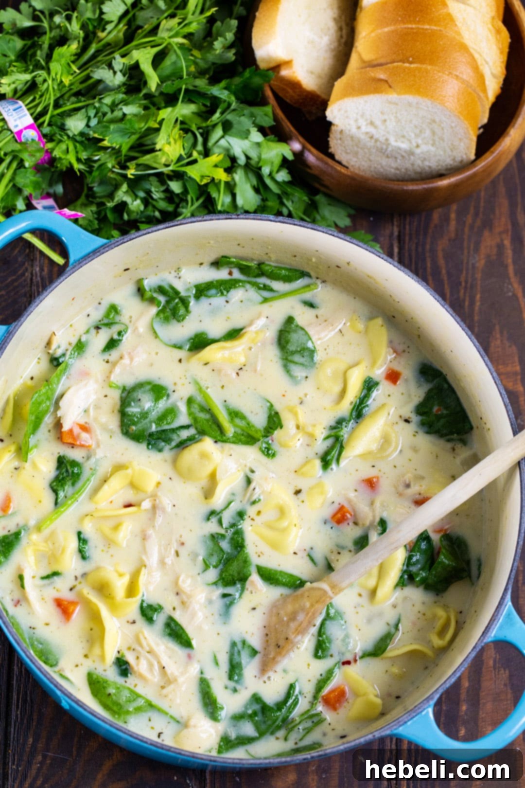 Dutch oven filled with bubbling Chicken Alfredo Tortellini Soup, accompanied by a small plate of fresh bread.