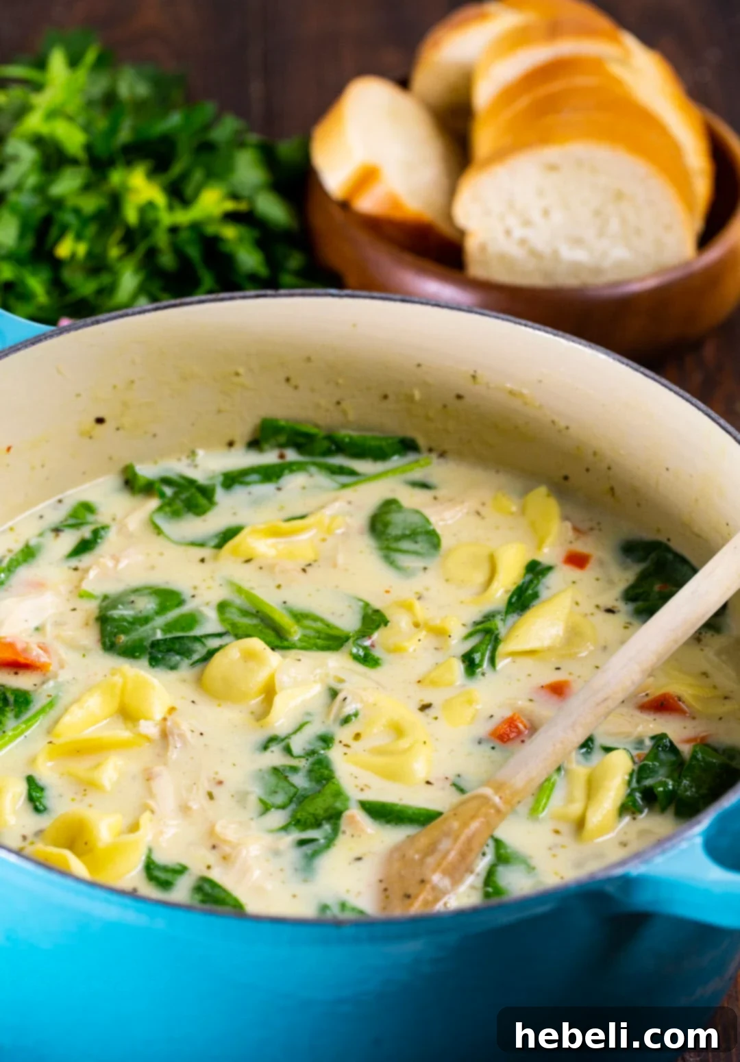 Close-up of Chicken Alfredo Tortellini Soup in a Dutch oven, highlighting the creamy texture and fresh ingredients.