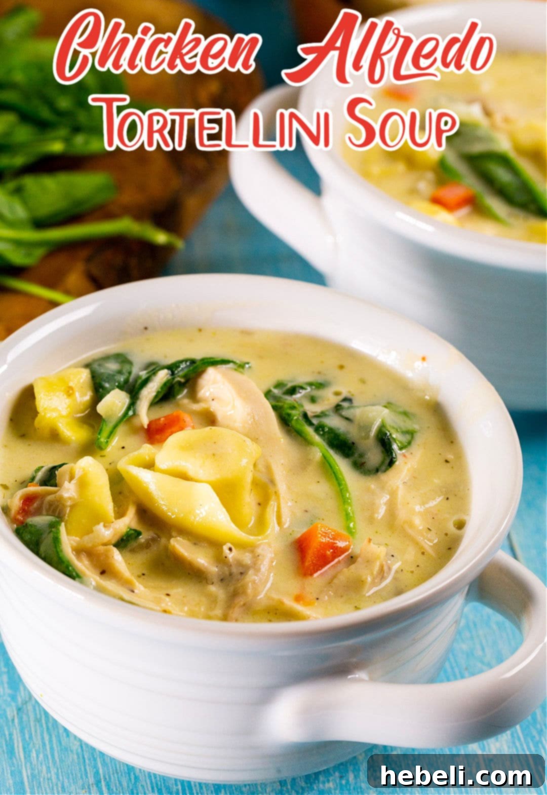 A single bowl of Chicken Alfredo Tortellini Soup, close-up, garnished with fresh herbs.