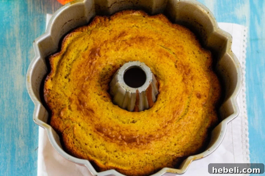 A freshly baked Apple Cider Bundt Cake cooling in a classic bundt pan, showing its perfect golden crust.