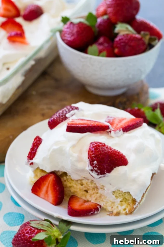 Close-up of Tres Leches Cake featuring layers of fluffy cake, milk soak, whipped cream, and sliced strawberries.