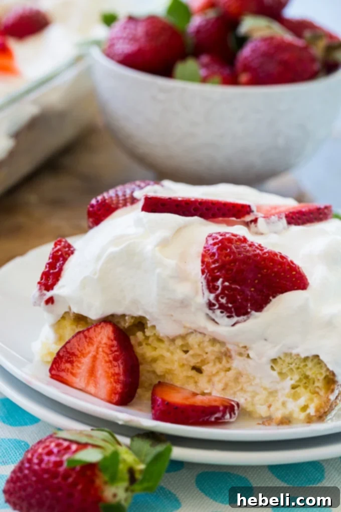 A generous slice of Tres Leches Cake with Strawberries, showing its moist interior and fruit topping.