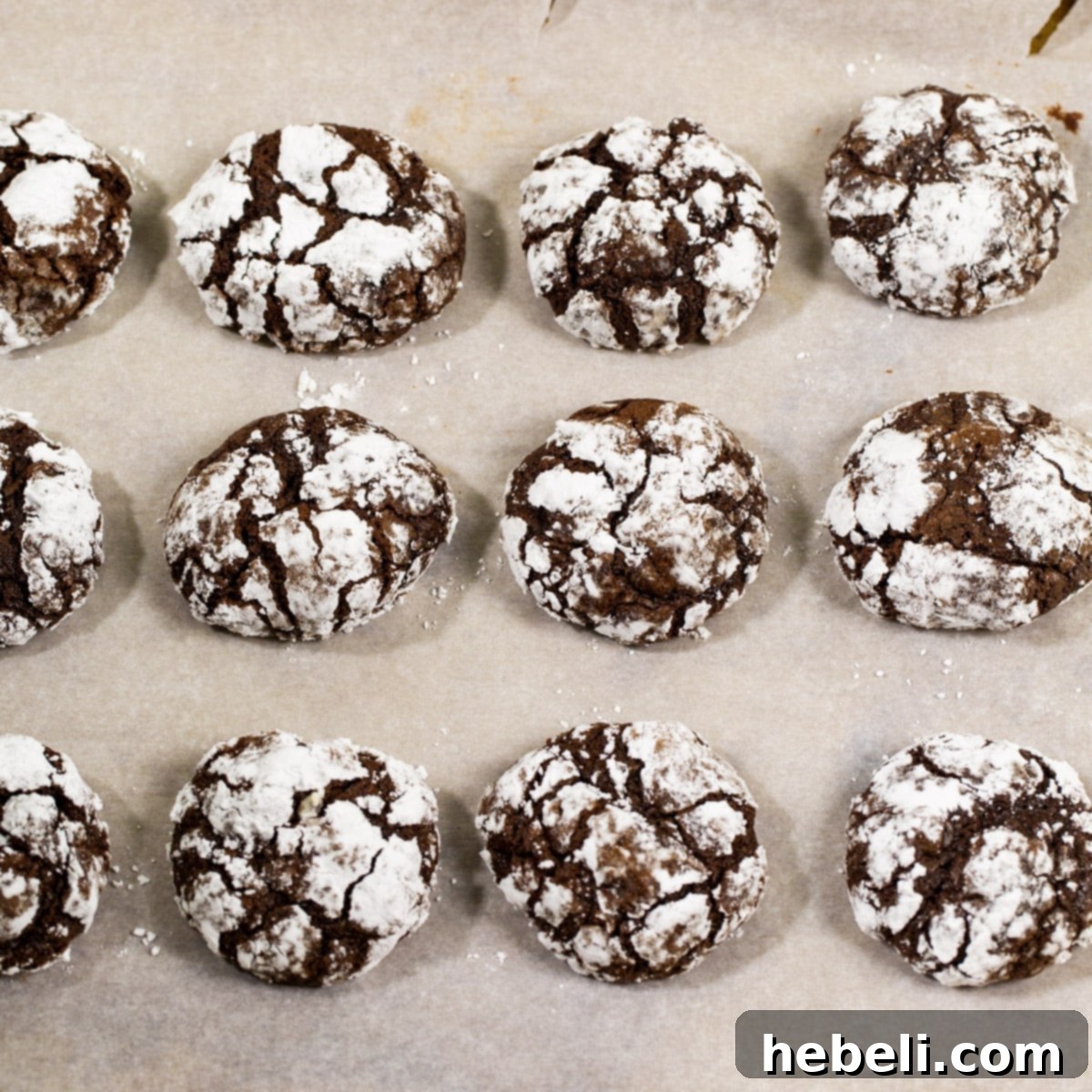 Freshly baked Chocolate Peppermint Crinkle Cookies on a baking sheet, showcasing their characteristic powdered sugar coating and festive appearance.