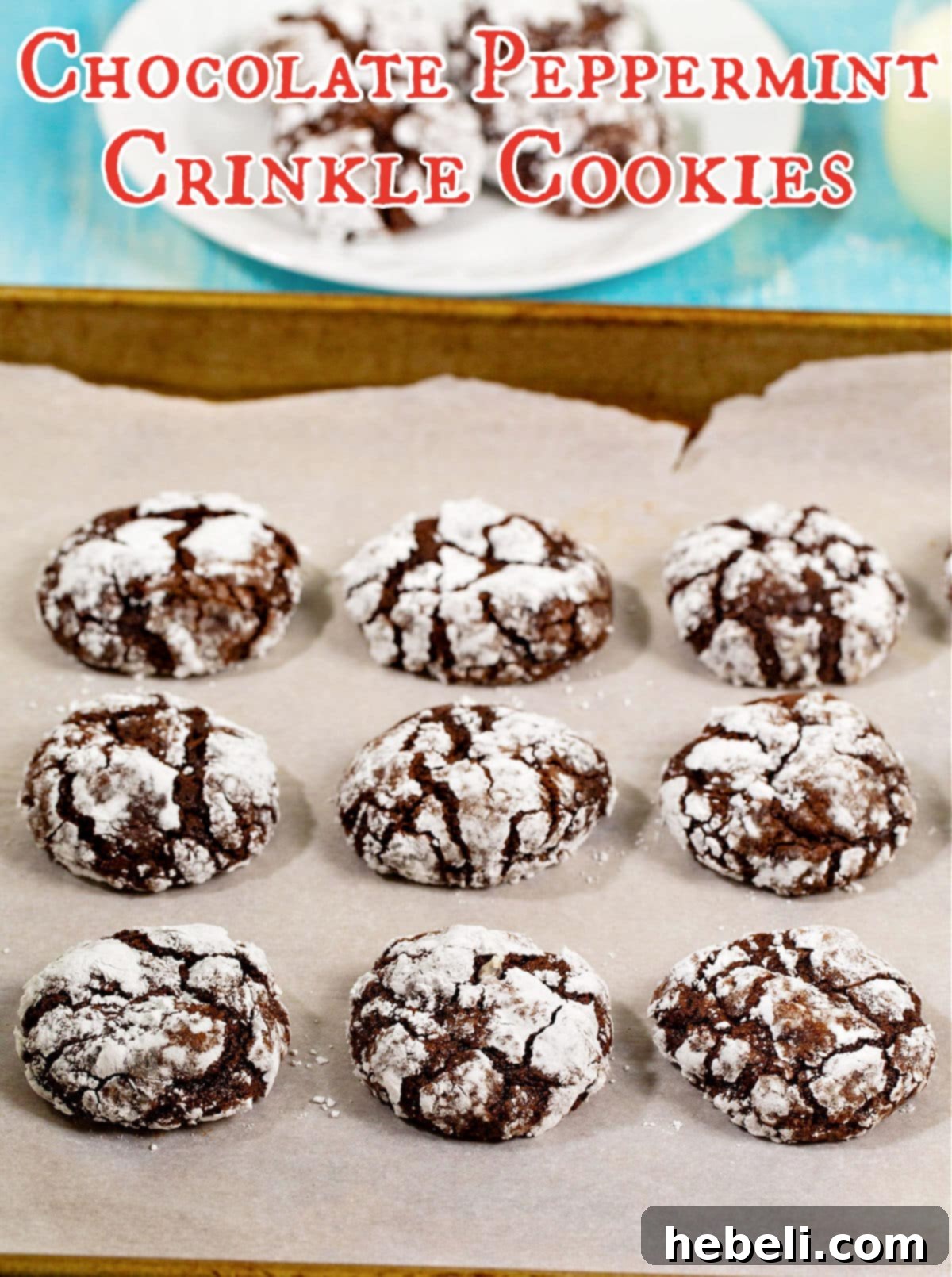 A close-up shot of several Chocolate Peppermint Crinkle Cookies, highlighting their rich color and intricate cracked texture.