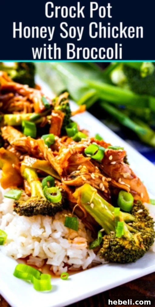 Honey Soy Chicken and Broccoli over white rice
