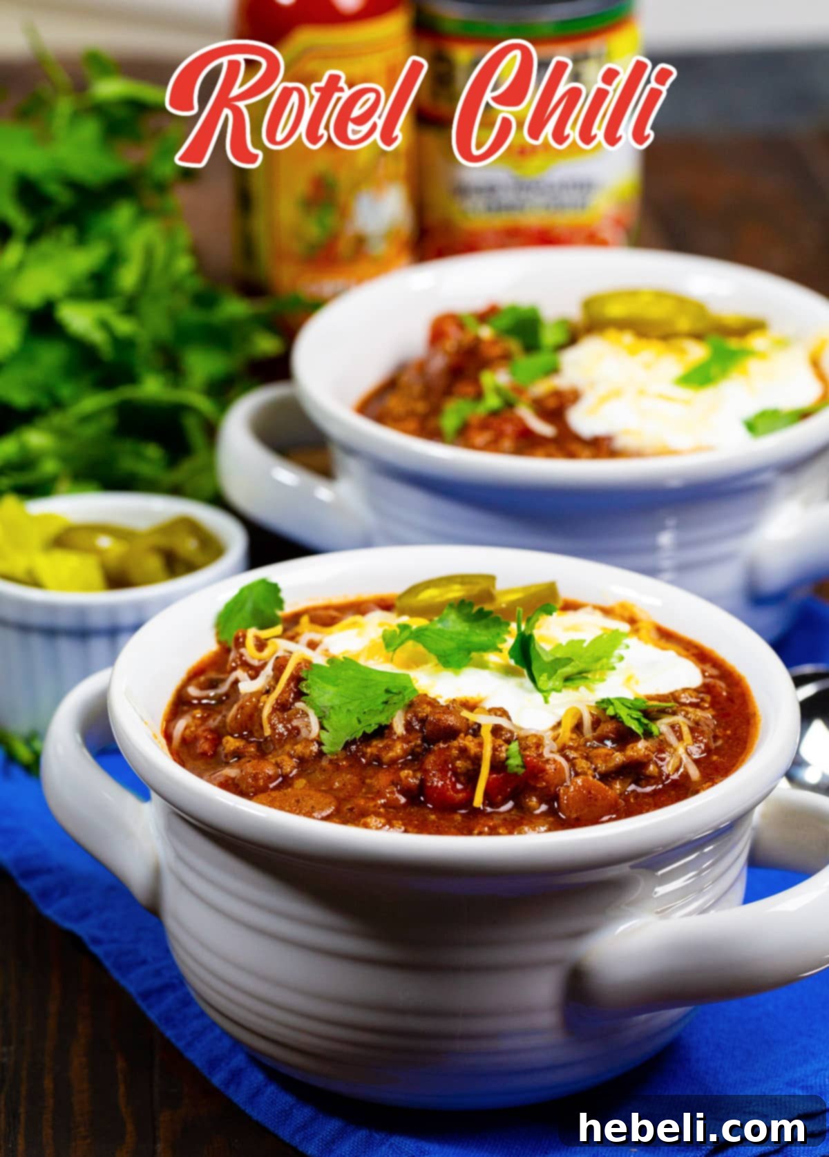Ultimate Rotel Chili 6 Rotel Chili in soup bowls, perfectly portioned for individual servings.