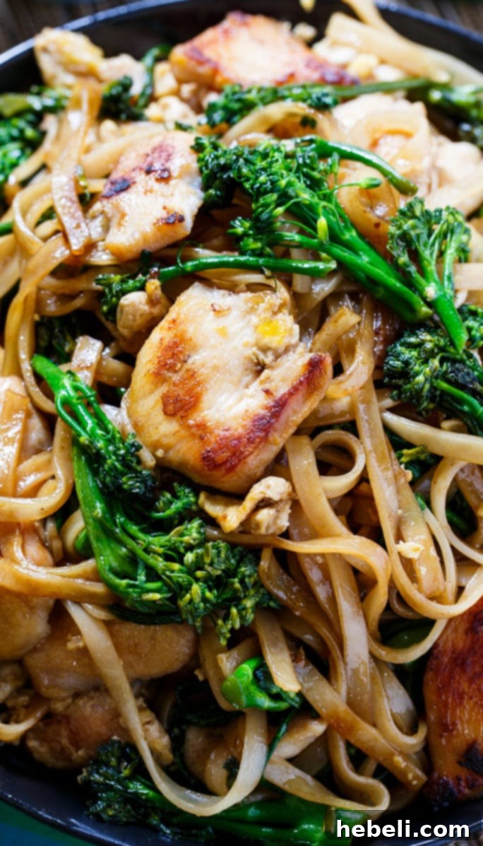 An appetizing close-up view of Thai Stir-Fried Noodles with tender chicken pieces and crisp broccolini, showcasing the rich sauce and perfectly cooked ingredients.