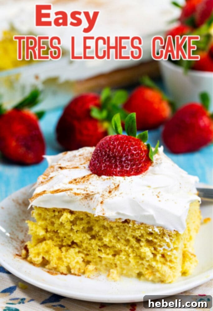 Effortless Tres Leches Cake 6 A close-up of a delightful slice of Easy Tres Leches Cake, adorned with glistening fresh strawberries, ready for a perfect bite.