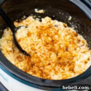 Delicious Slow Cooker Rice Pudding