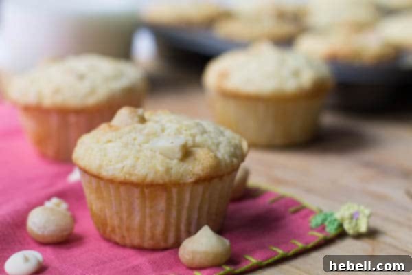 Delicious White Chocolate Macadamia Nut Muffins arranged on a pink cloth napkin, ready to be enjoyed.