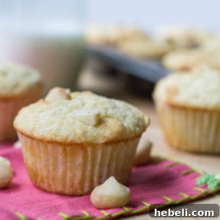 A delicious White Chocolate Macadamia Nut Muffin placed on a pink napkin, ready for a bite.