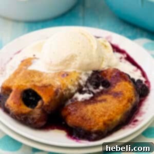 Image of a delicious Blueberry Dumpling served warm with ice cream.