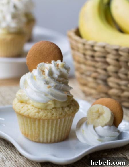 Banana Pudding Cupcakes garnished with whipped topping and whole vanilla wafers