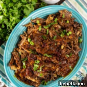 Final plated Chipotle Beef for Tacos with fresh garnishes