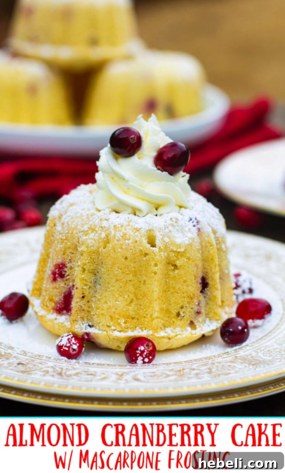 A mini Bundt Cake elegantly decorated with fresh cranberries and a dusting of powdered sugar, highlighting its simple yet sophisticated charm.