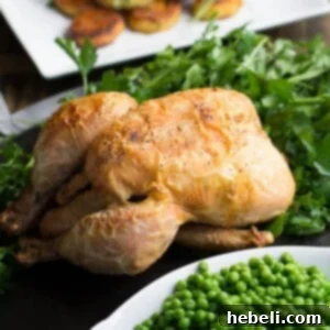 Crispy Roast Chicken, golden-brown and ready to serve.