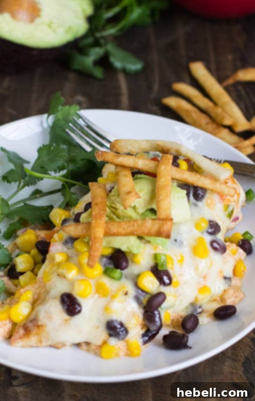 Plated Santa Fe Chicken with generous toppings and a side of tortilla strips, ready for enjoyment