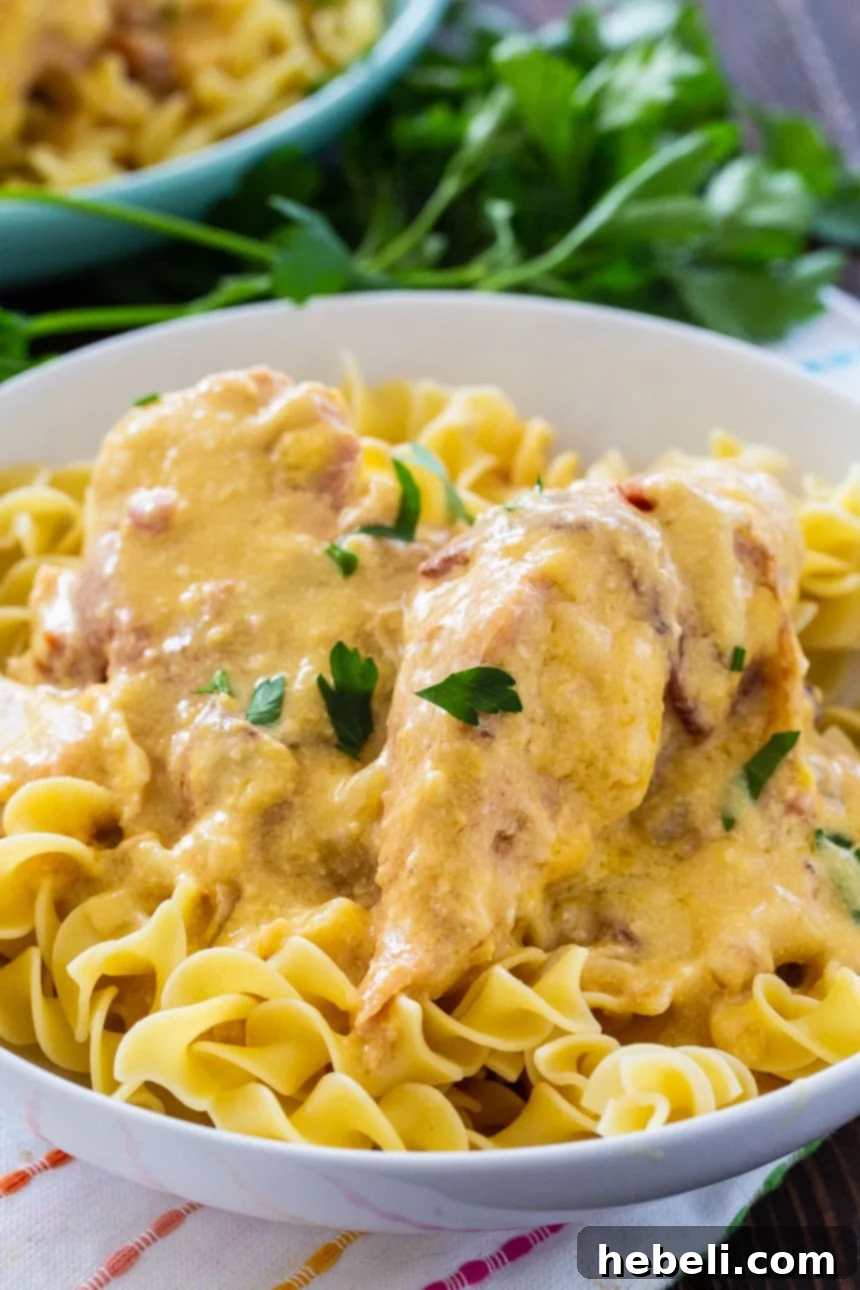 Finished Sour Cream and Bacon Crockpot Chicken served in a bowl, ready to eat.