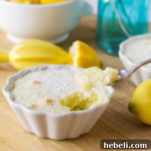 Delicious Lemon Pudding Cakes in a baking dish with a spoon, highlighting the contrasting layers.