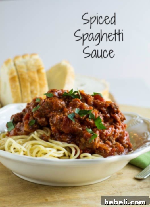 Robust Spiced Pasta Sauce 2 Close-up of Spiced Spaghetti Sauce simmering