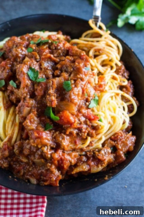Robust Spiced Pasta Sauce 5 Spiced Spaghetti Sauce with fresh herbs