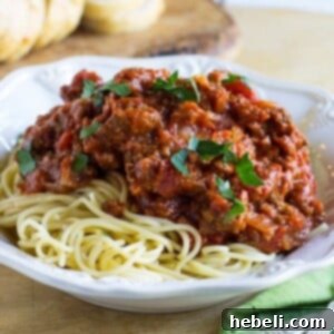 Robust Spiced Pasta Sauce 6 Spiced Spaghetti Sauce recipe image