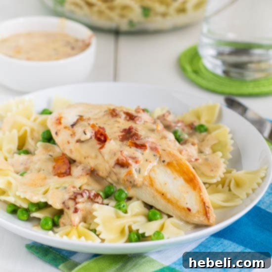 Close-up of creamy chicken with sun-dried tomato sauce