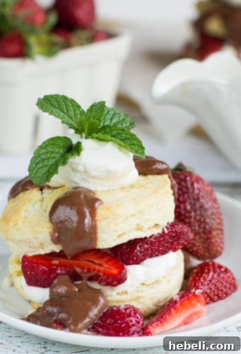 Close-up of a single serving of Strawberry Shortcake with Chocolate Gravy