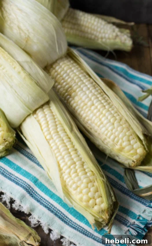 Husks on Roasted Corn
